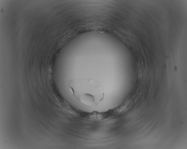 X0000071820279200606301018