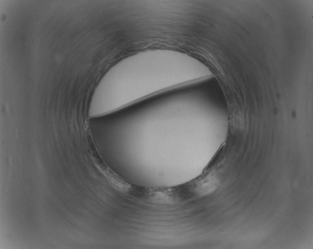 X0000071820285200606301018