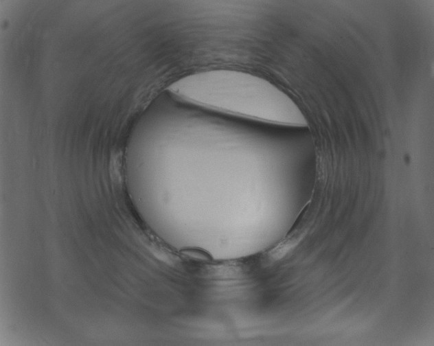 X0000071820286200606301018