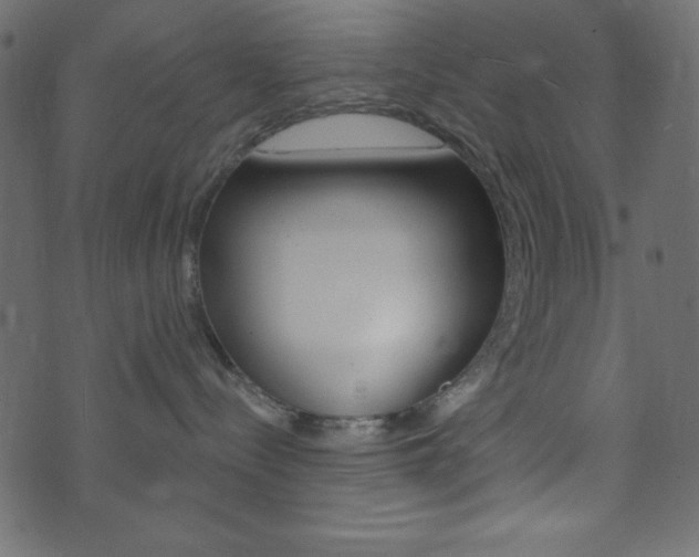 X0000071820288200606301018