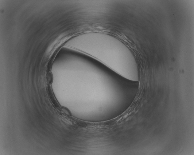 X0000071820291200606301017