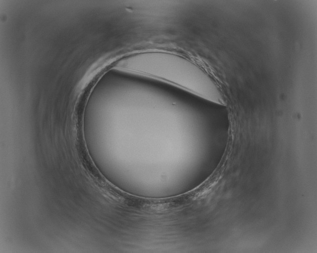 X0000071820295200606301017
