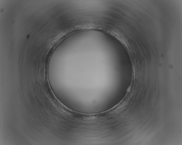 X0000071820301200606301017