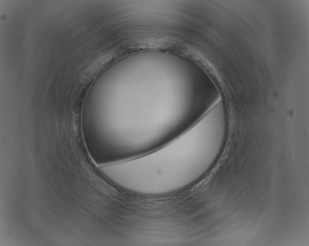 X0000071820305200606301017