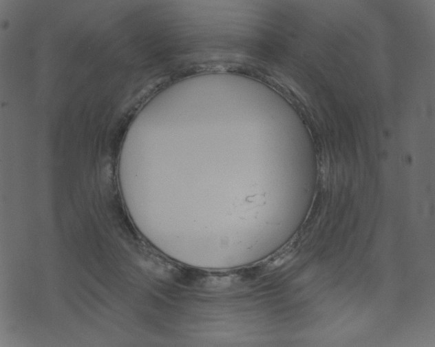 X0000071820314200606301017