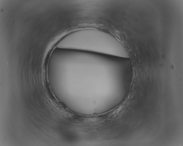 X0000071820342200606301016