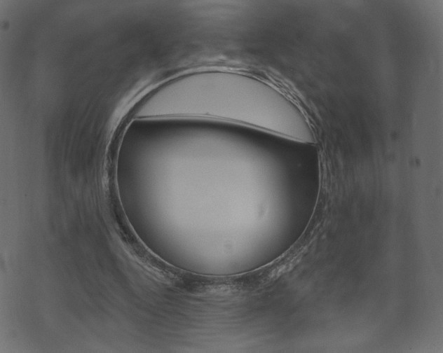 X0000071820344200606301016