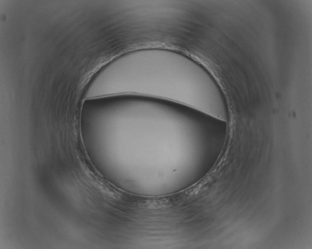 X0000071820345200606301016