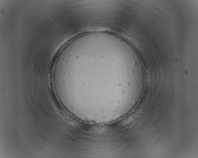 X0000071820351200606301016