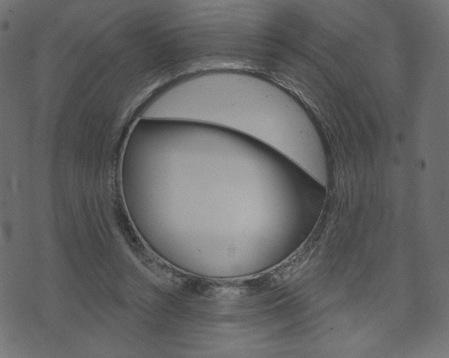 X0000071820352200606301016