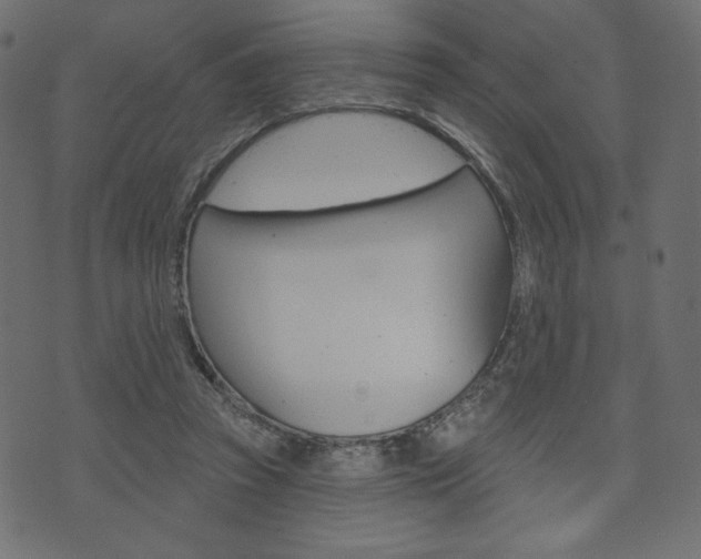 X0000071820353200606301016