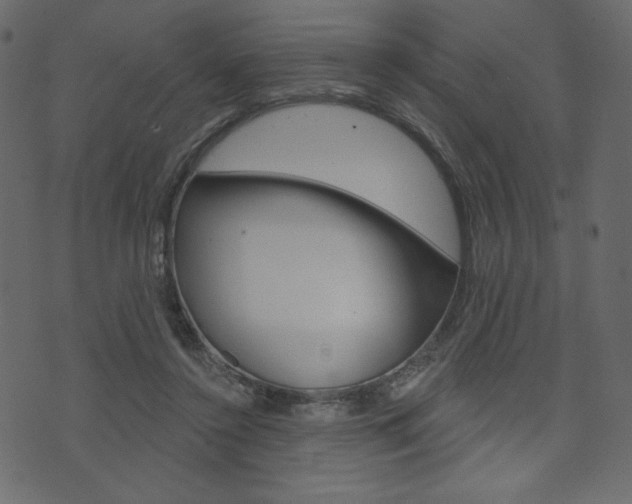 X0000071820356200606301016