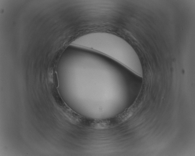 X0000071820368200606301016