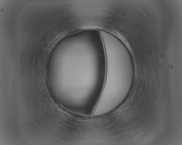 X0000071820385200606301016