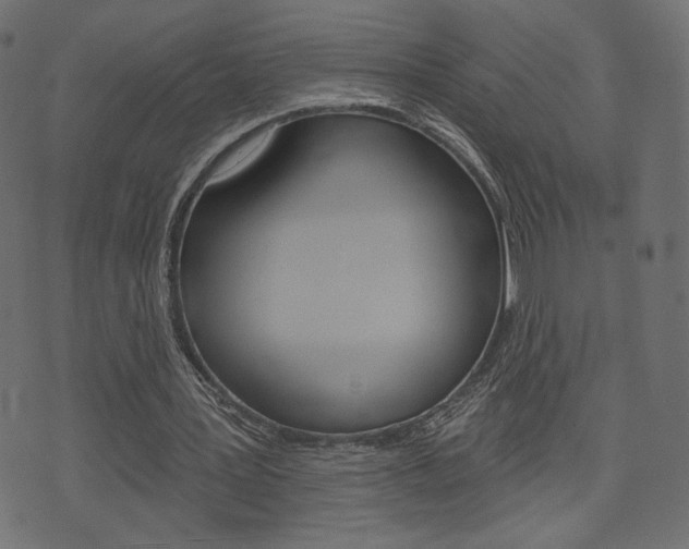 X0000071820387200606301016
