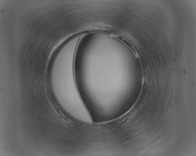 X0000071820388200606301016