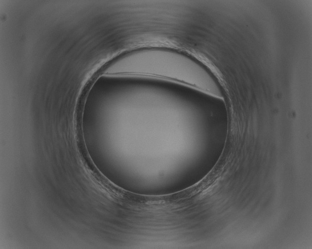 X0000071820391200606301016