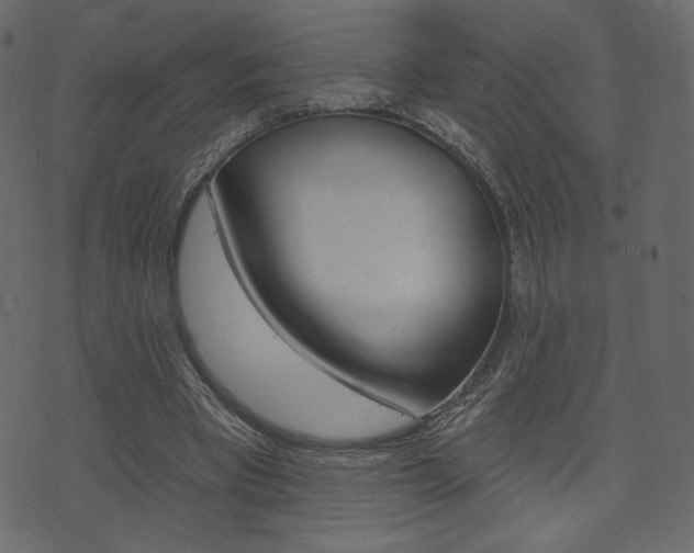 X0000071820393200606301016