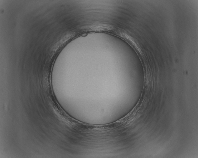 X0000071820394200606301016