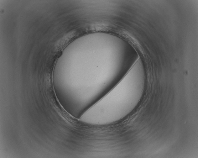 X0000071820401200606301015