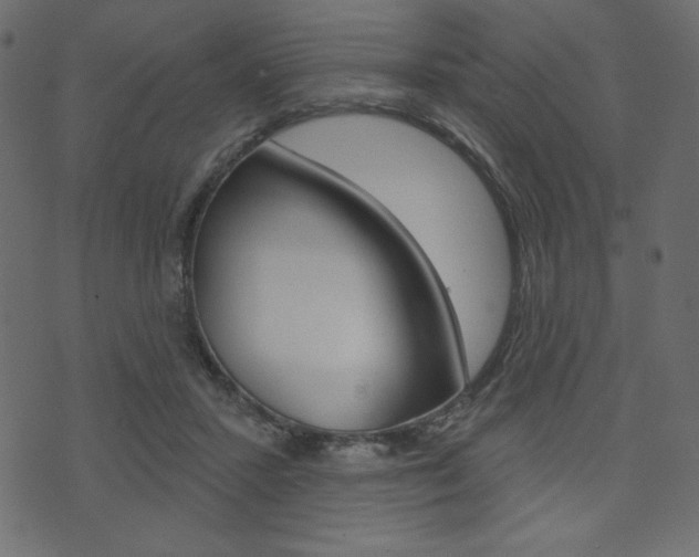 X0000071820407200606301015