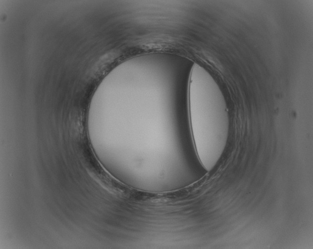 X0000071820408200606301015