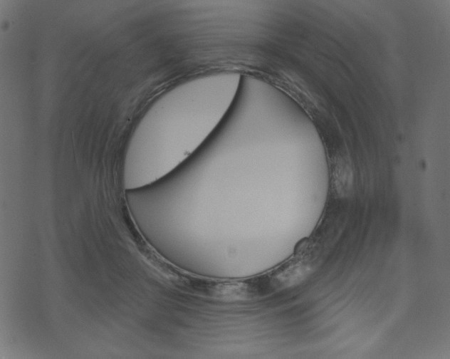 X0000071820410200606301015