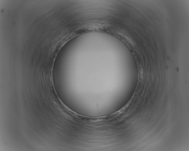 X0000071820411200606301015