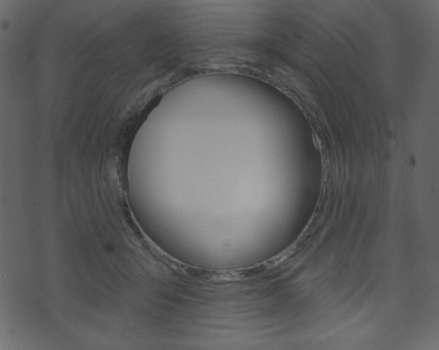 X0000071820415200606301015