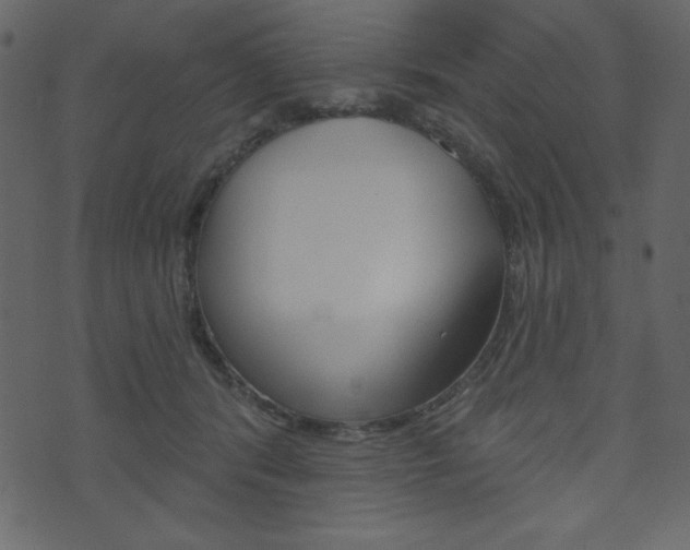 X0000071820416200606301015