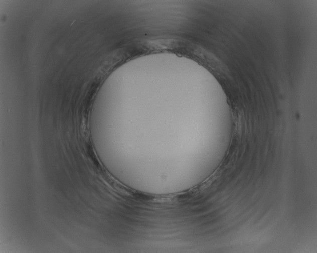 X0000071820418200606301015