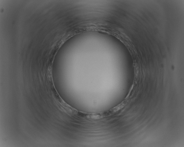 X0000071820419200606301015
