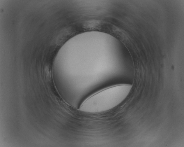 X0000071820420200606301015