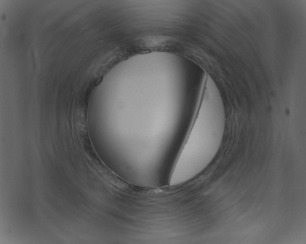 X0000071820421200606301015