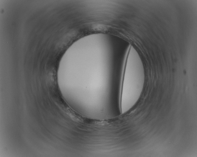 X0000071820424200606301015