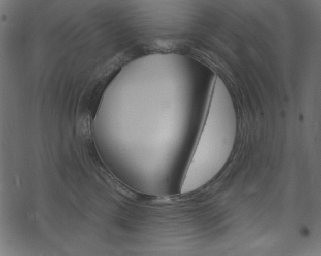 X0000071820425200606301015