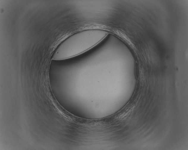 X0000071820433200606301014