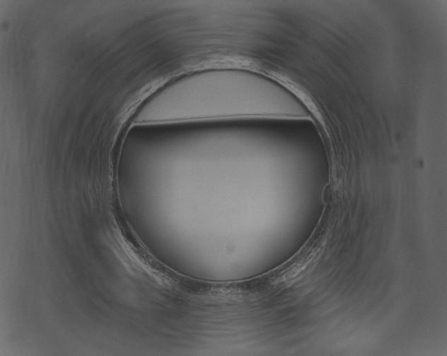 X0000071820437200606301014