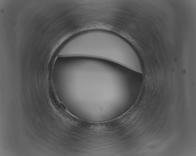 X0000071820440200606301014
