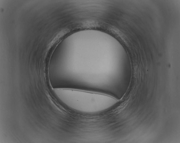 X0000071820443200606301014