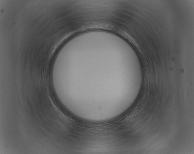 X0000071820444200606301014