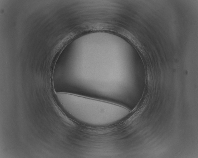 X0000071820445200606301014