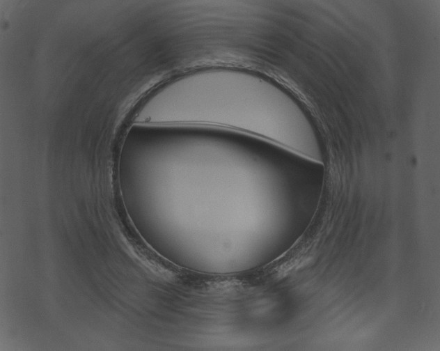 X0000071820446200606301014