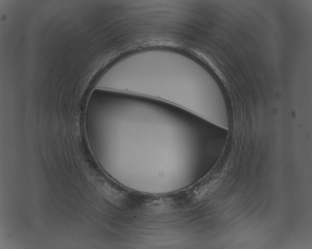 X0000071820447200606301014