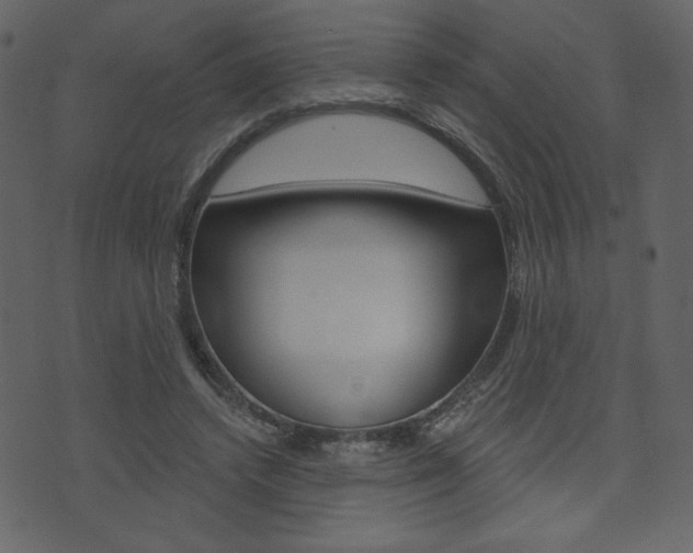 X0000071820448200606301014