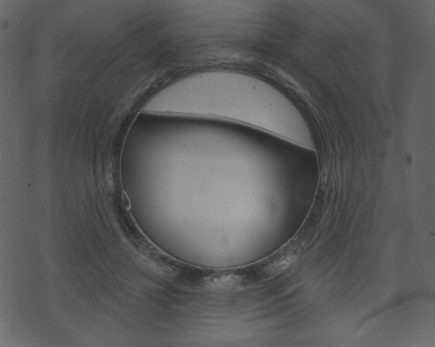 X0000071820452200606301015