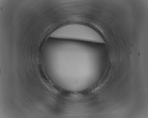 X0000071820455200606301015