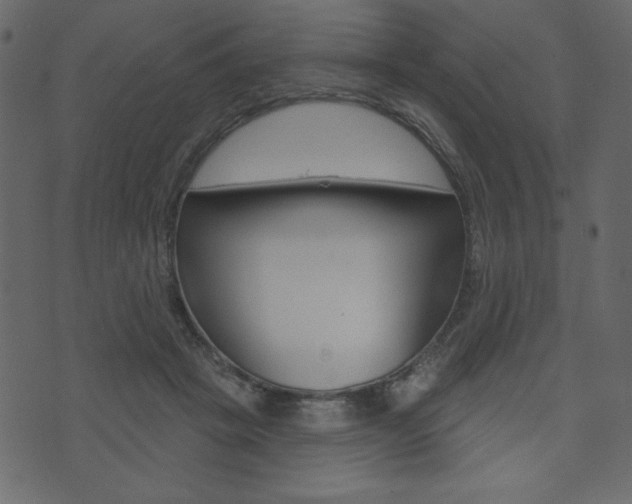 X0000071820457200606301015