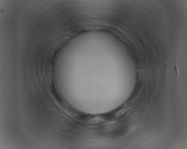 X0000071820460200606301015