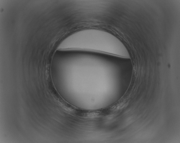 X0000071820462200606301015